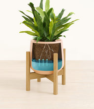 Load image into Gallery viewer, Gentle Pink stand:bamboo