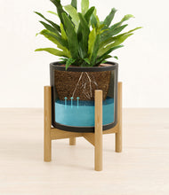 Load image into Gallery viewer, Black stand:bamboo