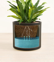 Load image into Gallery viewer, Black