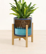 Load image into Gallery viewer, Deep Navy stand:bamboo