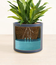 Load image into Gallery viewer, Deep Navy