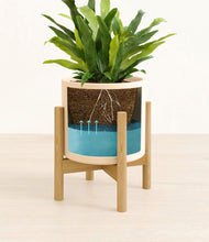 Load image into Gallery viewer, Cream stand:bamboo