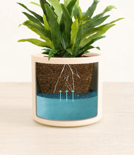 Load image into Gallery viewer, Cream