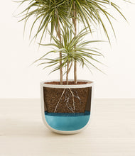 Load image into Gallery viewer, Natural Bamboo