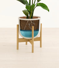 Load image into Gallery viewer, Natural Bamboo stand:bamboo