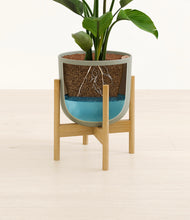 Load image into Gallery viewer, Sage Green stand:bamboo