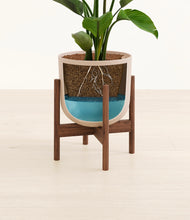 Load image into Gallery viewer, Sandy Pink stand:walnut