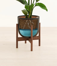 Load image into Gallery viewer, Stone Black stand:walnut