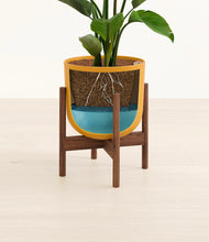 Load image into Gallery viewer, Sunset Orange stand:walnut