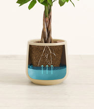 Load image into Gallery viewer, -