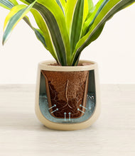 Load image into Gallery viewer, Almond Green stand:all