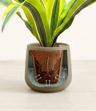 Load image into Gallery viewer, Olive stand:all