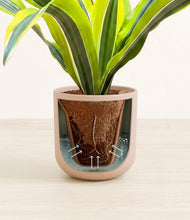 Load image into Gallery viewer, Sandy Pink stand:all