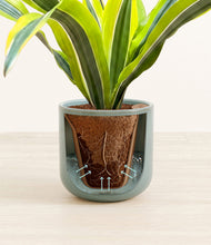 Load image into Gallery viewer, Reactive Aqua stand:all