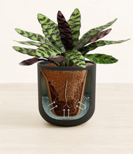 Load image into Gallery viewer, Stone Black