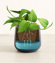 Load image into Gallery viewer, Deep Navy