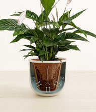 Load image into Gallery viewer, Natural Bamboo stand:all