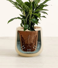 Load image into Gallery viewer, Almond Green stand:all