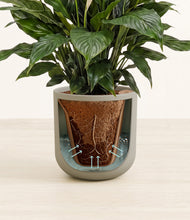 Load image into Gallery viewer, Sage Green stand:all