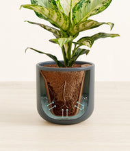 Load image into Gallery viewer, Iron Gray stand:all