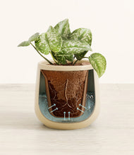 Load image into Gallery viewer, Almond Green stand:all