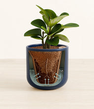 Load image into Gallery viewer, Twilight Blue stand:all