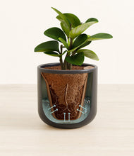 Load image into Gallery viewer, Stone Black stand:all