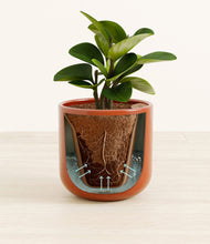 Load image into Gallery viewer, Glossy Red stand:all