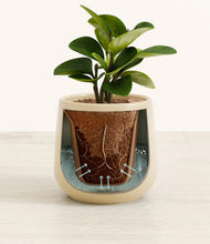 Load image into Gallery viewer, Almond Green stand:all