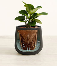 Load image into Gallery viewer, Black stand:all