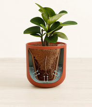 Load image into Gallery viewer, Earth Red stand:all