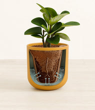 Load image into Gallery viewer, Sunset Orange stand:all