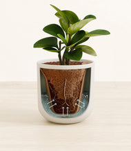 Load image into Gallery viewer, Natural Bamboo stand:all