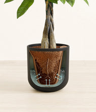 Load image into Gallery viewer, Stone Black stand:all