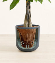 Load image into Gallery viewer, Iron Gray stand:all