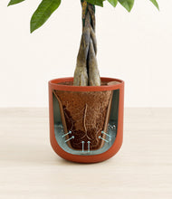 Load image into Gallery viewer, Earth Red stand:all