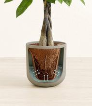 Load image into Gallery viewer, Sage Green stand:all