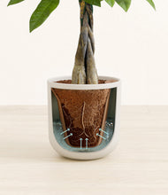 Load image into Gallery viewer, Natural Bamboo stand:all