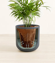 Load image into Gallery viewer, Iron Gray