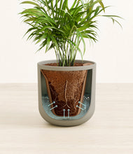 Load image into Gallery viewer, Sage Green