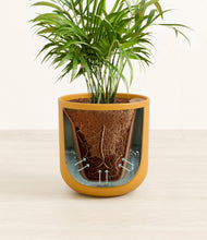 Load image into Gallery viewer, Sunset Orange