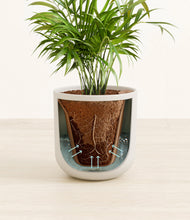 Load image into Gallery viewer, Natural Bamboo