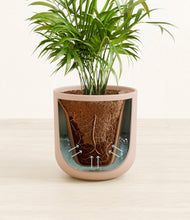 Load image into Gallery viewer, Sandy Pink