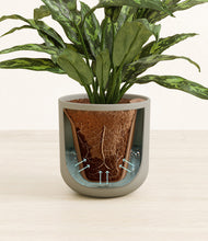 Load image into Gallery viewer, Sage Green