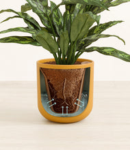 Load image into Gallery viewer, Sunset Orange