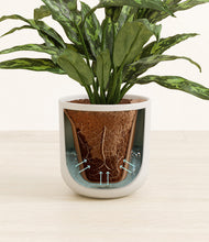 Load image into Gallery viewer, Natural Bamboo