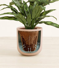 Load image into Gallery viewer, Sandy Pink