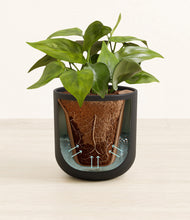 Load image into Gallery viewer, Stone Black stand:all