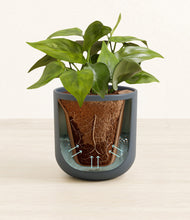 Load image into Gallery viewer, Iron Gray stand:all