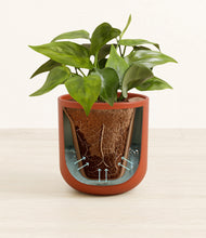 Load image into Gallery viewer, Earth Red stand:all